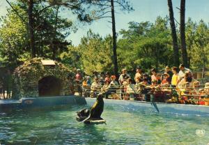 Le bassin des otaries - 1973