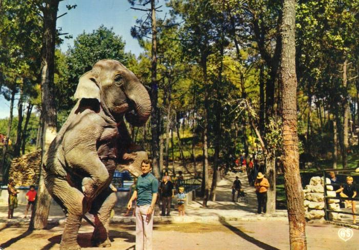 « PHI-PHI » l’éléphant et Mr Caillé Directeur du Zoo
