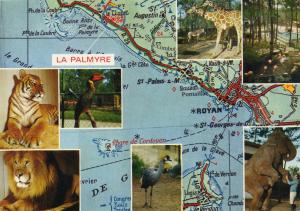 Lions, Tigres, Eléphants, Girafes, Calao, Grues et Flamants - 1974