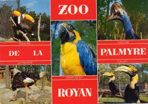 Dans le magnifique Parc Zoologique de Mr Caillé - 1975