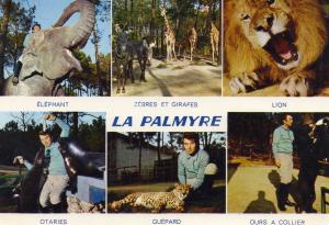 Dans le magnifique Parc Zoologique de Mr Caillé
