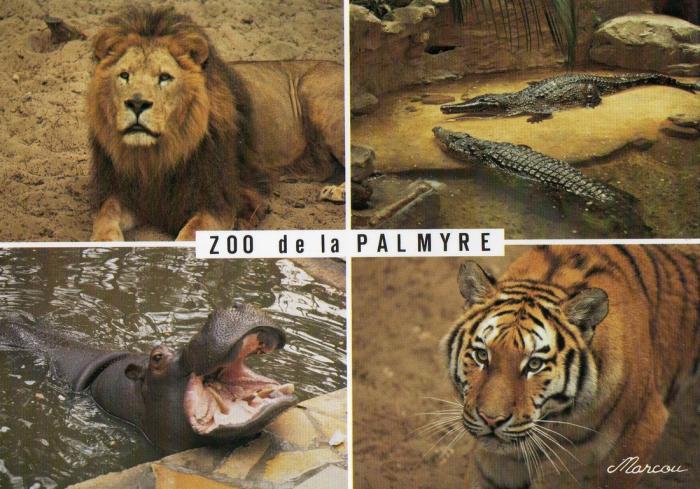 Le lion, les crocodiles, l’hippopotame, le tigre - 1990