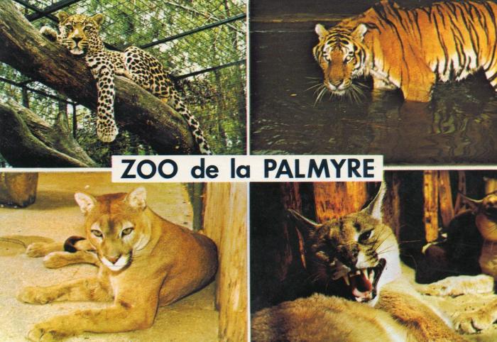 Panthère - Tigre - Puma - Caraca - 1985