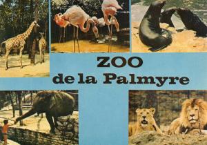 Parc Zoologique de La Palmyre - 1977