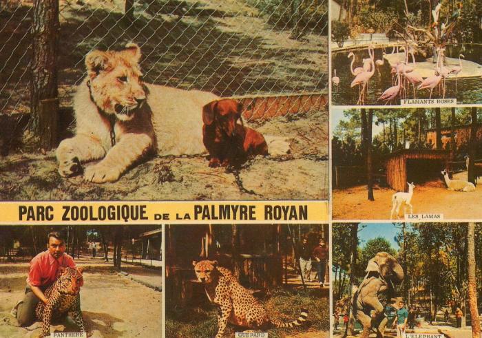 Parc Zoologique de La Palmyre - 1982