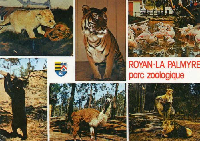 Parc Zoologique de La Palmyre - 1988