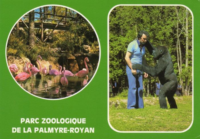 Parc Zoologique de La Palmyre - 1997