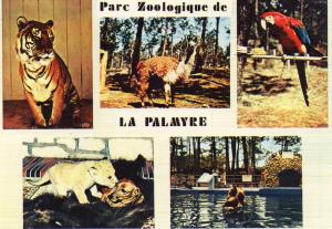 Tigre royal du Bengale - Lama - Perroquet du Brésil - Sultan et Mirza - Les otaries - 1977