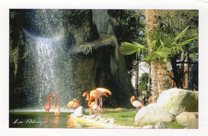 Entrée du zoo et ses flamants roses