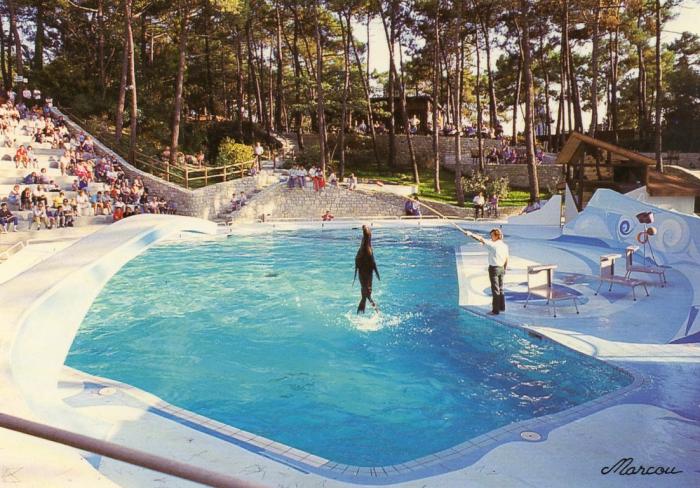 Le bassin des otaries - 1990