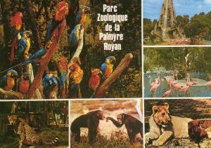 Parc Zoologique de La Palmyre - 1989