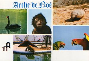 Animalium Zoo - 1ère collection privée de France
