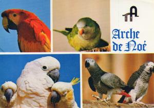 Animalium Zoo - 1ère collection privée de France