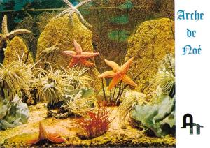 Aquarium invertébrés marins