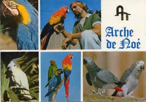 Collection de perroquets