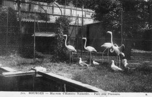 Parc aux Flamants
