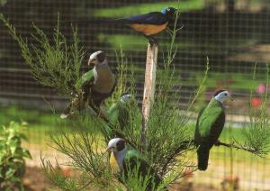 17 Parc Ornithologique des Grands Ponteaux