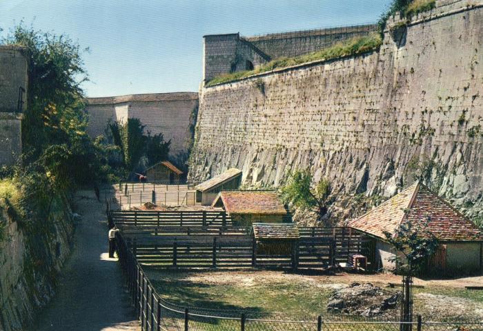 Intérieur de la Citadelle - Le zoo - 1977