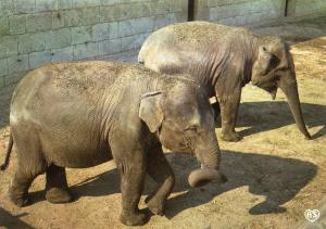 25 Parc Zoologique de Besançon