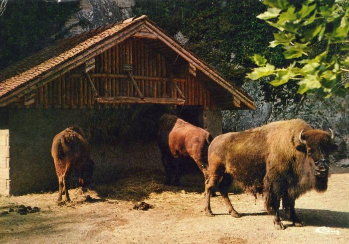 Le zoo de la Citaselle - 1987