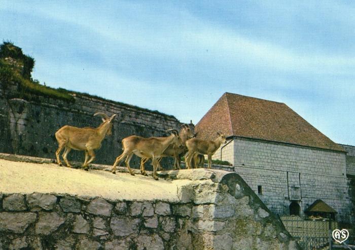 Parc zoologique de Besançon