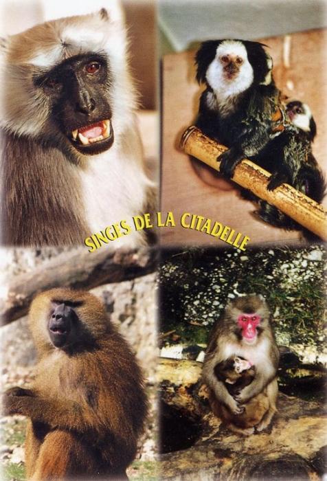 Parc zoologique de la Citadelle