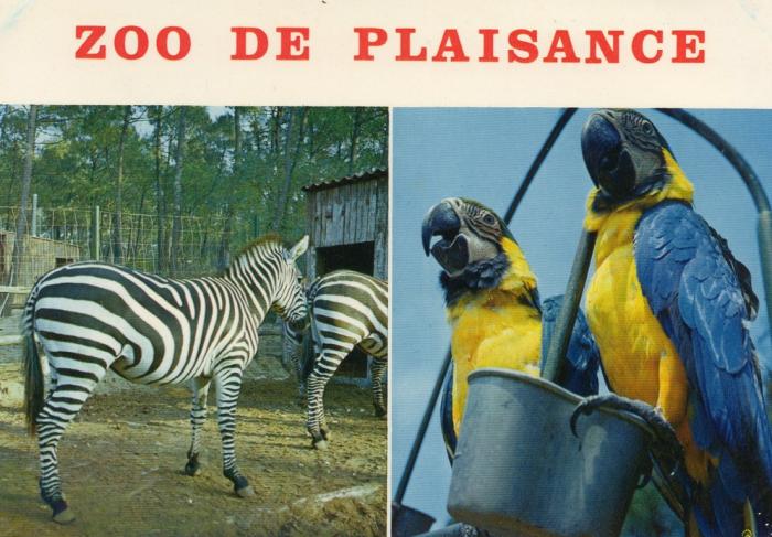 Madame Poumeroulie, propriètaire