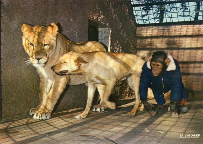 Madame Poumeroulie, propriètaire