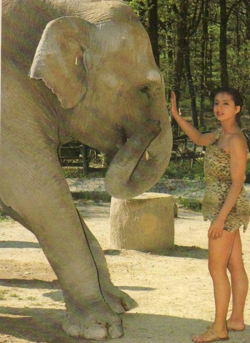 SANDRINE et l’éléphant - 1986