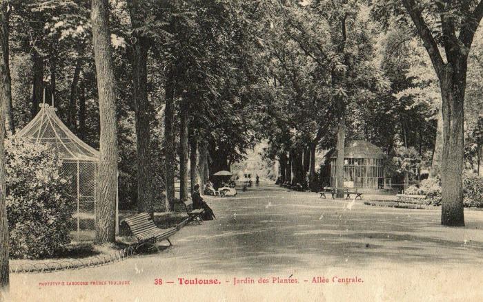 Jardin des Plantes - Allée centrale - 1908