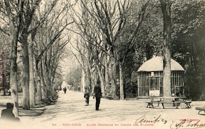 Allée Centrale du Jardin des Plantes - 1910