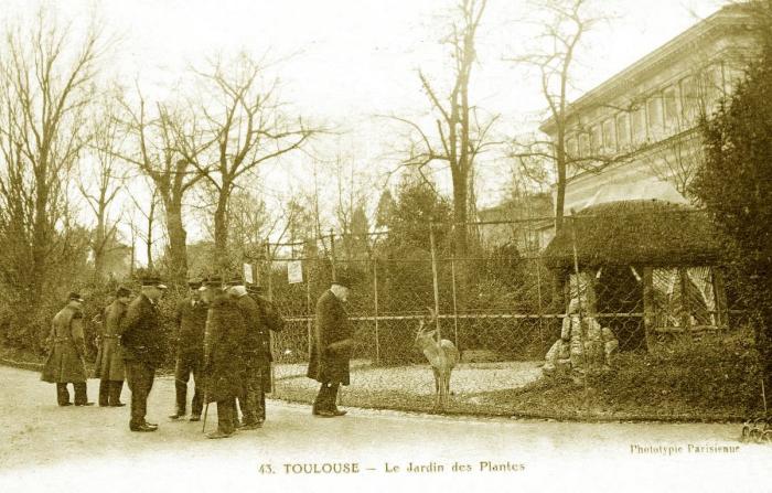 Le Jardin des Plantes