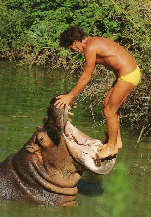 Hippopotame "Comir"