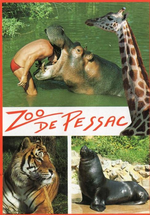 Zoo de Pessac - 1991