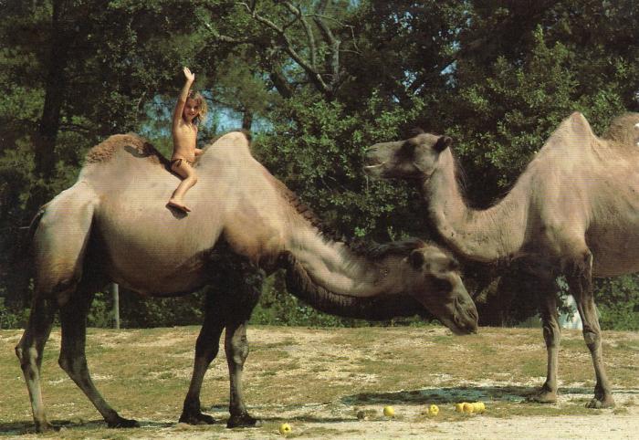 Zoo de Bordeaux-Pessac