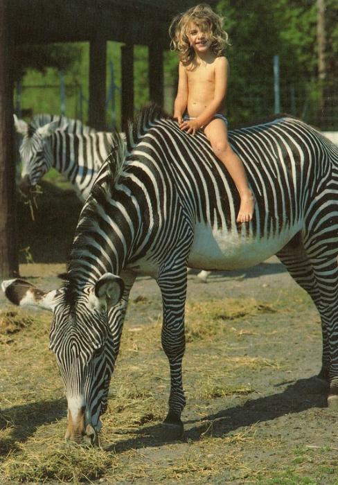 Zoo de Bordeaux-Pessac