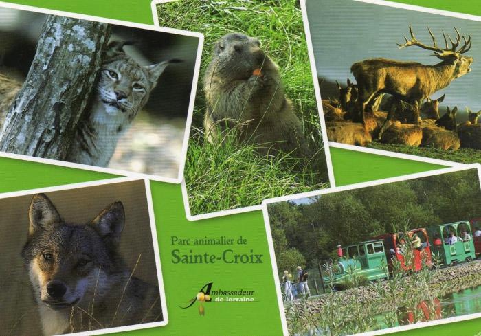 Parc animalier de Sainte-Croix - 1999