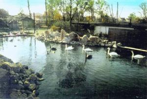 Vue générale - 1965