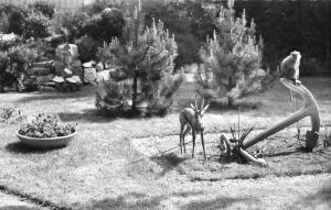 Gazelle et Guenon