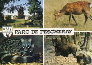 72 Domaine Zoologique de Pescheray