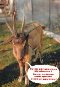 Parc zoologique des Abrets