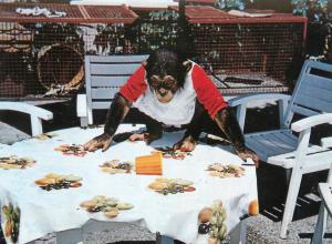 Parc zoologique des Abrets