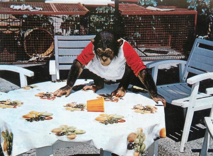 Parc zoologique des Abrets