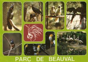 Microglosse, Mainates, Cacatoès à huppe jaune, Aras chloroptères, Merle métallique, Caïques, Flamants