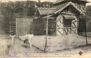Pensonniaires du Jardin des Plantes - 1902