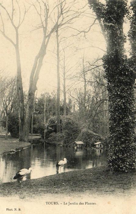 Le Jardin des Plantes - 1937