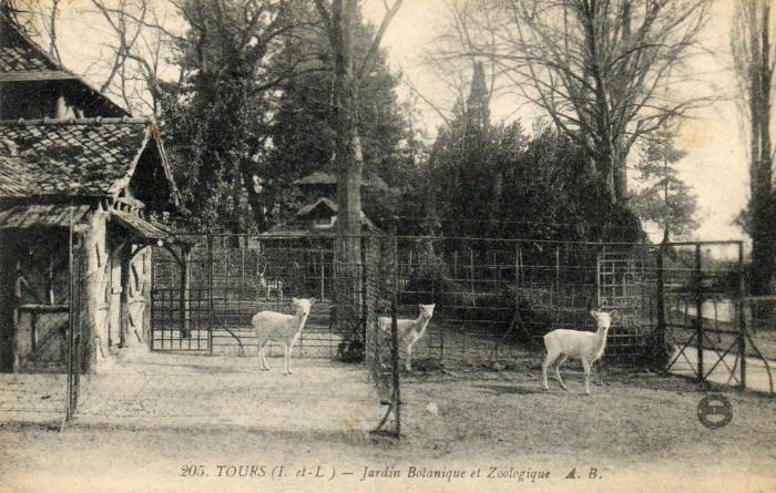 Jardin Botanique et Zoologique - 1918