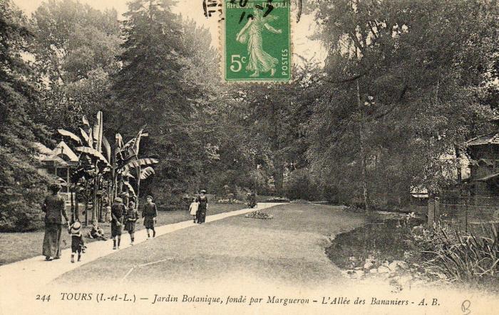 Jardin Botanique fondé par Margueron - Allée desbananiers - 1916
