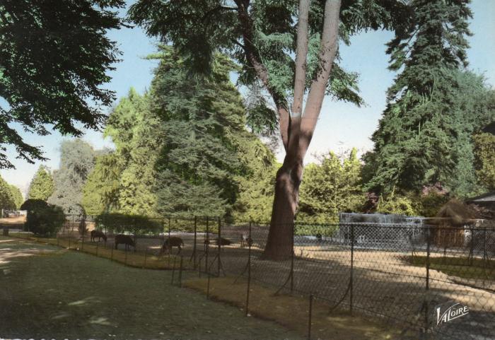 Allée du Jardin Botanique