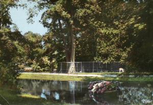 Allée du Jardin Botanique